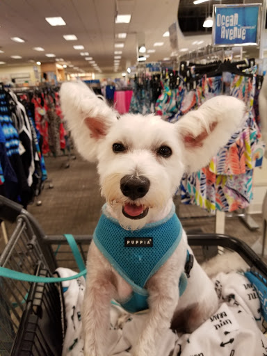 Department Store «Bealls Store», reviews and photos, 3659 Wedgewood Ln, The Villages, FL 32162, USA