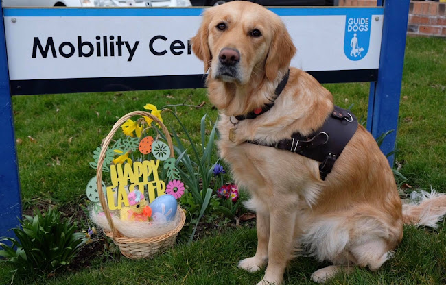 Reviews of The Guide Dogs for the Blind Association in Liverpool - Association