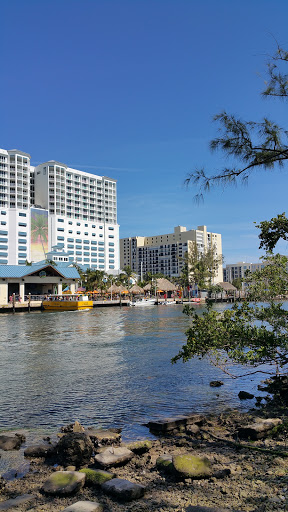 Tourist Attraction «Water Taxi Stop #5», reviews and photos, 1881 SE 17th St, Fort Lauderdale, FL 33316, USA