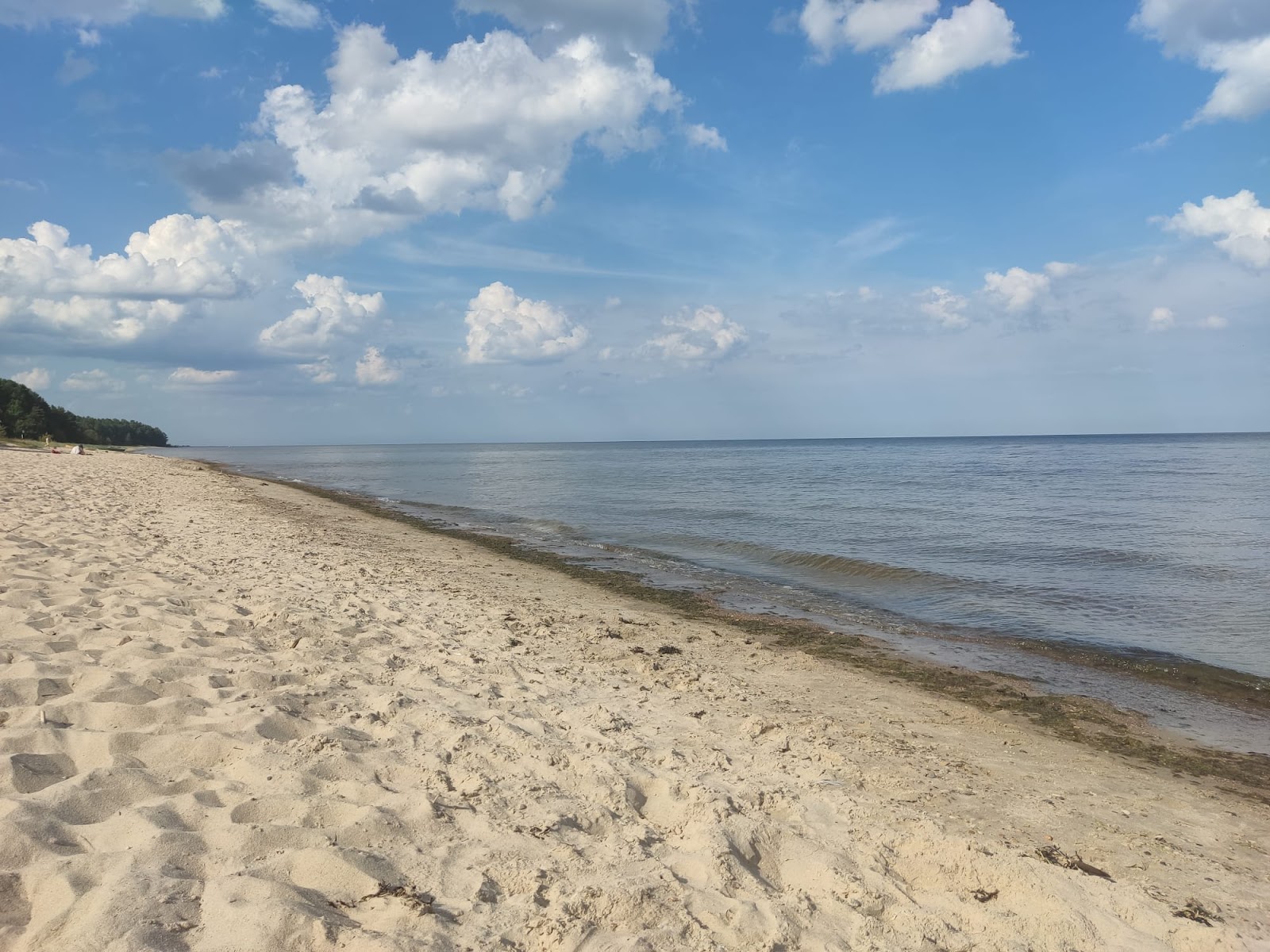 Foto von Kesterciema pludmale mit beiger sand Oberfläche