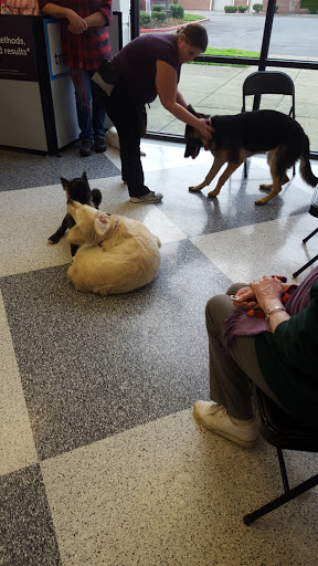 Pet Supply Store «Petco Animal Supplies», reviews and photos, 2000 NE Burnside Rd, Gresham, OR 97030, USA