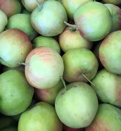 Produce Market «B&P Hitz Fruit Farm (Apples N Produce)», reviews and photos, 14070 Wilco Hwy NE, Woodburn, OR 97071, USA