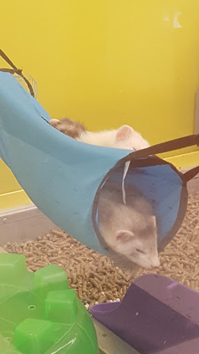 Pet Supply Store «Pet Supplies Plus», reviews and photos, 30450 Lakeshore Blvd, Willowick, OH 44095, USA