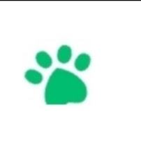 Bells pet sitting - Photo 1 - Car repair in , Knoxville