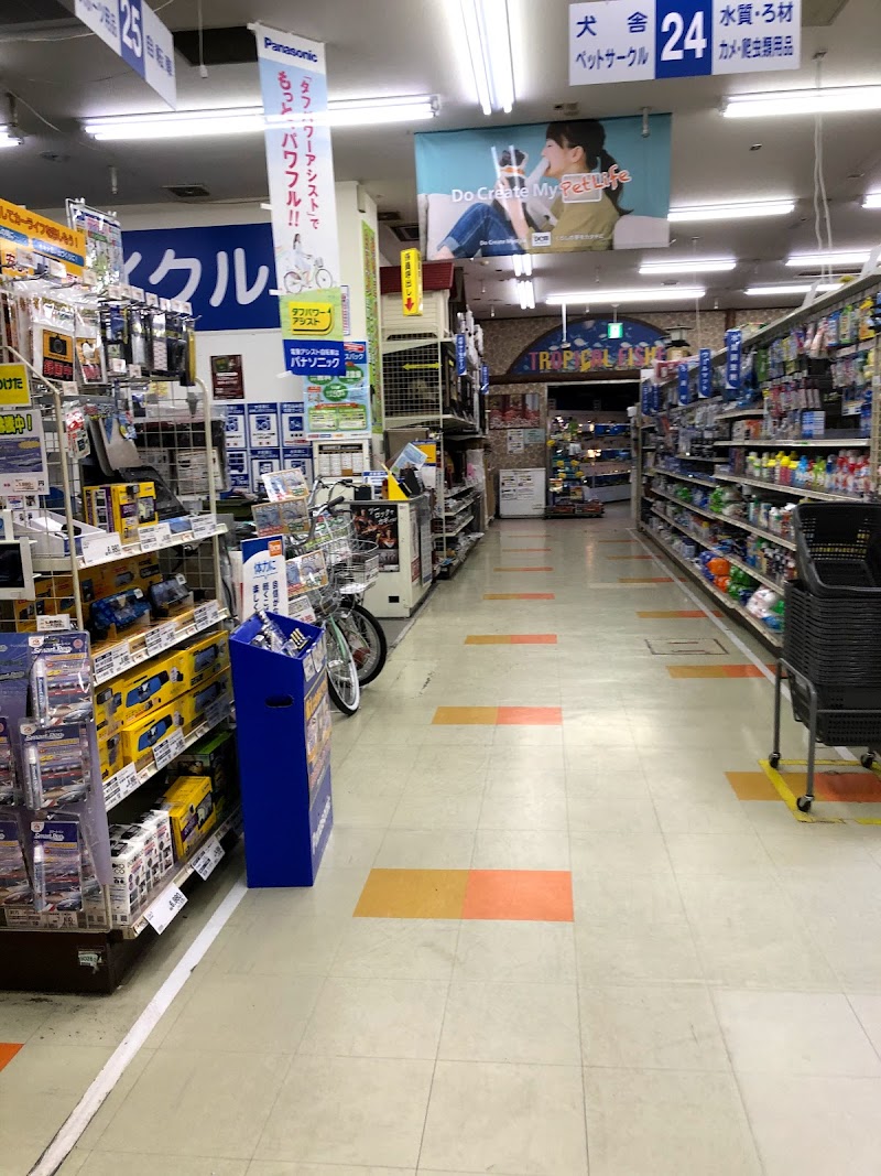 DCM 川内店