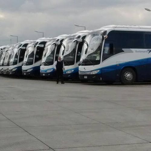 bustamantebuses.cl