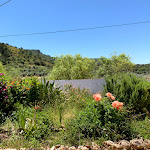 Photo n°5 de l'avis de Michael.a fait le 06/02/2018 à 16:43 sur le  Restaurante 'Rosmaninho' à Alte