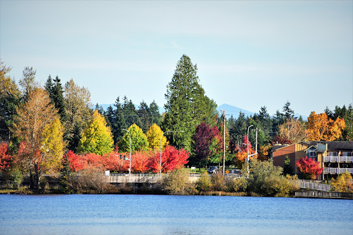 Park «Thornton A. Sullivan Park», reviews and photos, 11405 Silver Lake Rd, Everett, WA 98208, USA