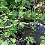 Photo n°10 de l'avis de Hans.e fait le 19/09/2019 à 19:53 sur le  Hotel Traube Tonbach - Familie Finkbeiner GmbH & Co KG à Baiersbronn