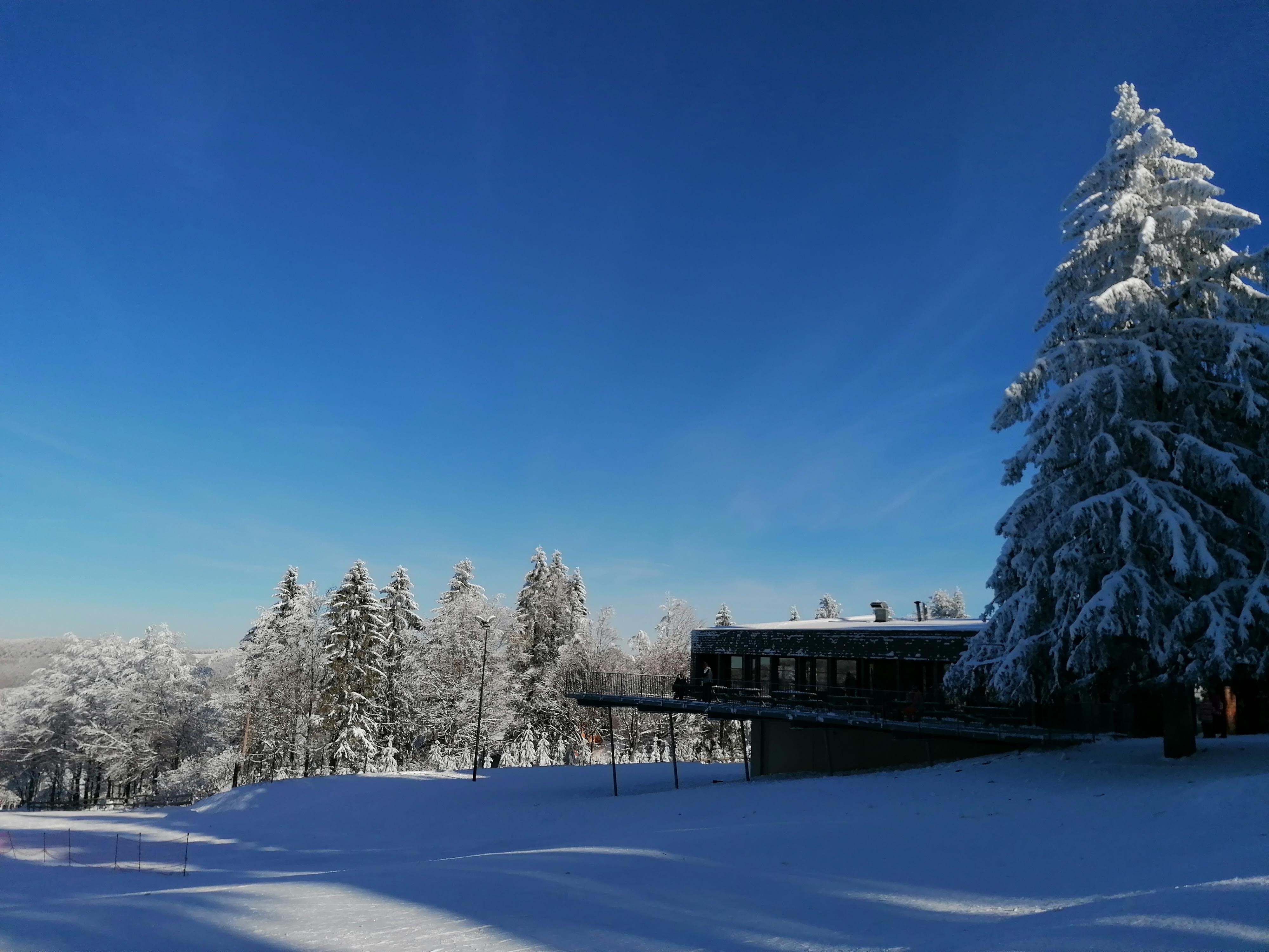 Photo n° 20 de l'avis de sumrak78. fait le 30/12/2020 à 15:39