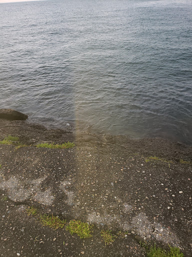 Park «Lake Front Park», reviews and photos, 23000 Jefferson Ave, St Clair Shores, MI 48080, USA