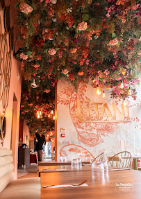 Les plus récentes photos du Restaurant libanais Litani Mezza Bar à Lyon - n°17
