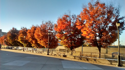 Stadium «Yankee Stadium», reviews and photos, 1 E 161st St, Bronx, NY 10451, USA