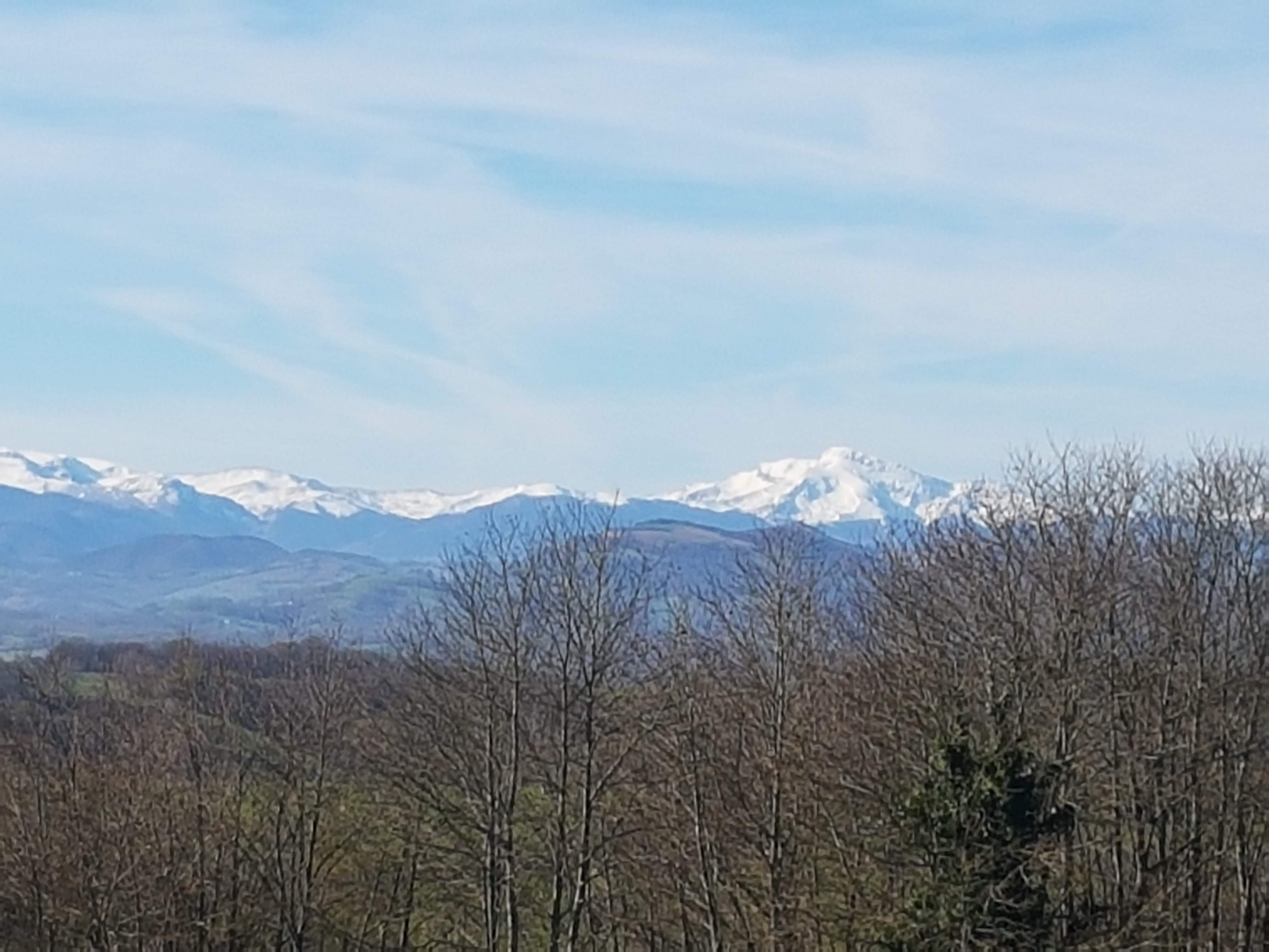 Photo n° 8 de l'avis de Christian.a fait le 03/05/2019 à 19:47