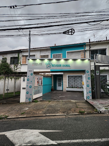Revigor Animal - centro de fisioterapia e reabilitação veterinário em São Paulo - SP
