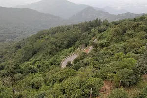 Sirumalai Reserved Forests ( little princess of hills) image