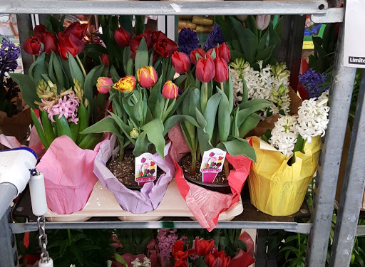 Supermarket «ALDI», reviews and photos, 8808 Belair Rd, Nottingham, MD 21236, USA