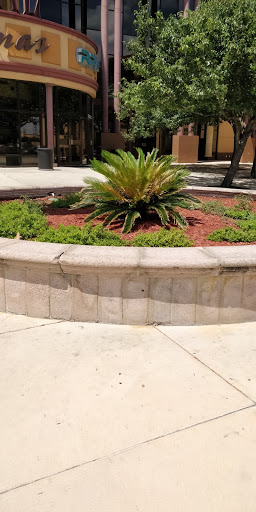 Movie Theater «Regal Cinemas Live Oak 18 & RPX», reviews and photos, 7901 Pat Booker Rd, Live Oak, TX 78233, USA