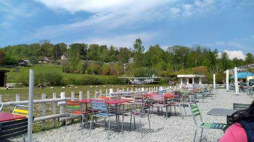 site_photo2