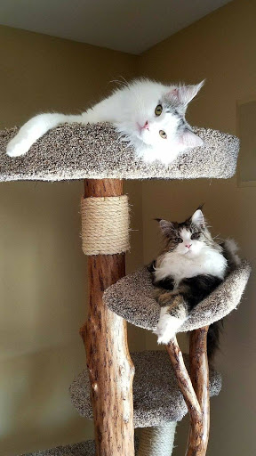 Pet Supply Store «The Feed Bag Pet Supply», reviews and photos, 10900 N Port Washington Rd, Mequon, WI 53092, USA