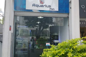 Aquarius Fish image