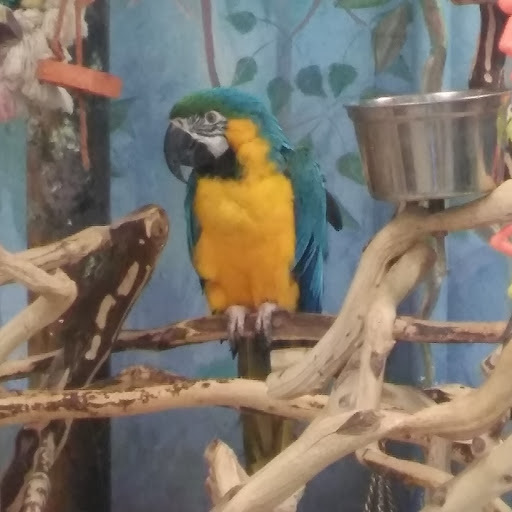 Pet Store «Pet World», reviews and photos, 7585 W 10th Ave, Lakewood, CO 80214, USA