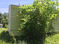 We Buy Houses Tenn LLC - Photo 4 - Car repair in , Bridgeport