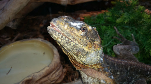 Zoo «Tropic World», reviews and photos, 3300 Golf Rd, Brookfield, IL 60513, USA