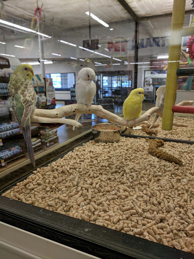 Pet Supply Store «PetSmart», reviews and photos, 3540 Youngfield St, Wheat Ridge, CO 80033, USA