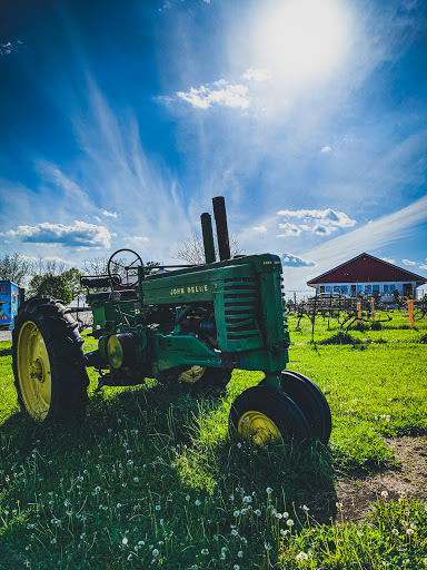 Vineyard «Stone Pillar Vineyard & Winery», reviews and photos, 11000 S Woodland St, Olathe, KS 66061, USA