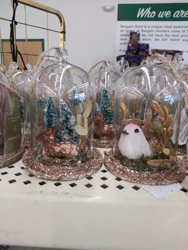 Discount Store «Bargain Hunt», reviews and photos, 3137 Dixie Hwy, Erlanger, KY 41018, USA