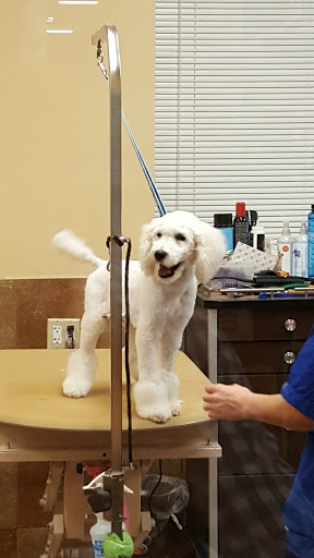 Pet Supply Store «PetSmart», reviews and photos, 5013 S Cleveland Ave, Fort Myers, FL 33907, USA