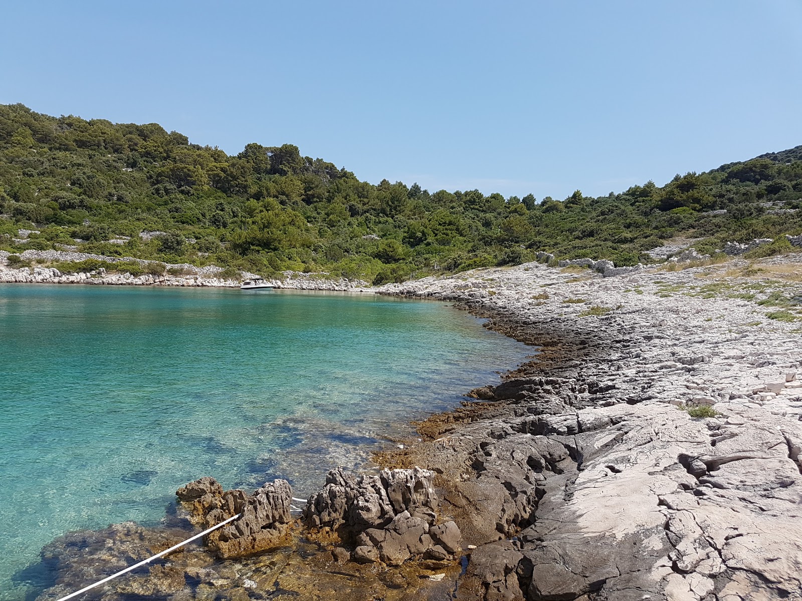 Foto van Portic beach met turquoise puur water oppervlakte