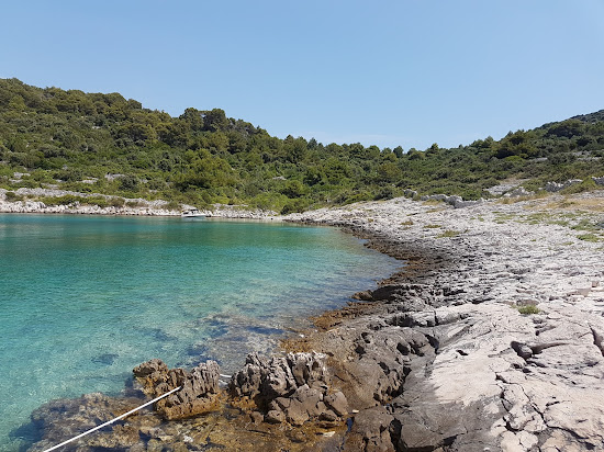 Portic beach