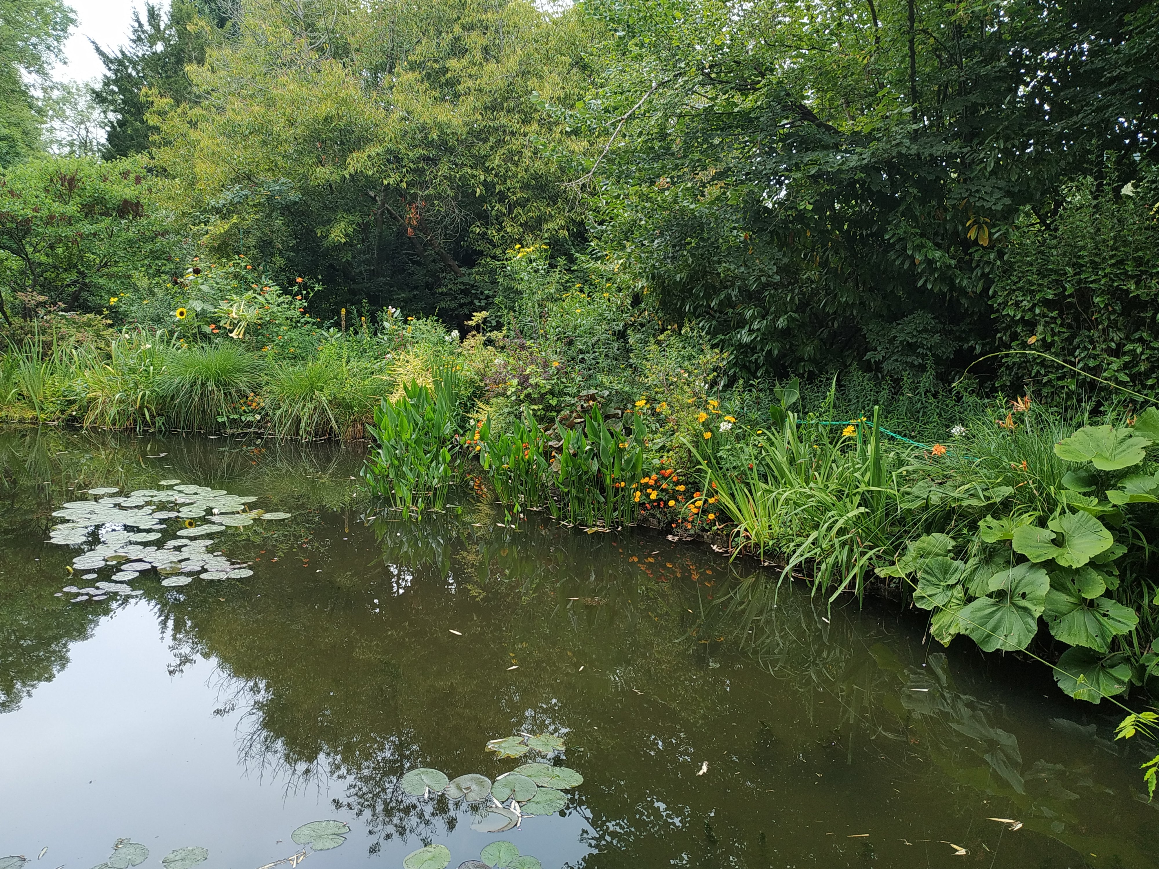 Photo n° 17 de l'avis de Pagliai.o fait le 18/07/2020 à 15:42