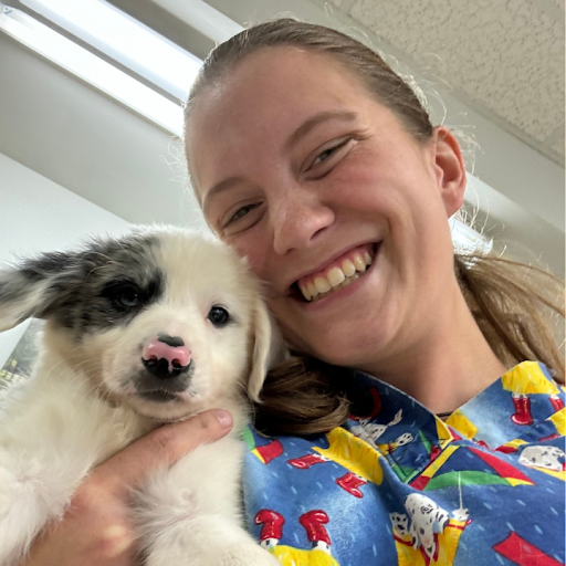 Broadway Veterinary Hospital image