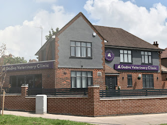 Godiva Veterinary Clinic