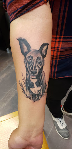 Shopping Mall «Independence Mall», reviews and photos, 3500 Oleander Dr, Wilmington, NC 28403, USA