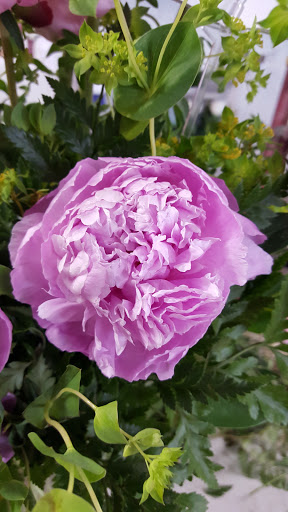 Florist «Joyce Florist of Dallas, Inc.», reviews and photos, 2729 S Hampton Rd, Dallas, TX 75224, USA