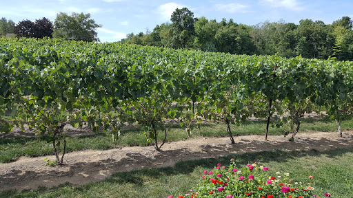 Vineyard «Lost Acres Vineyard», reviews and photos, 80 Lost Acres Rd, North Granby, CT 06060, USA
