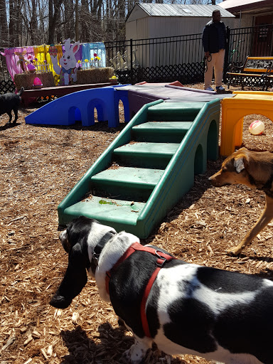 Pet Supply Store «The Hungry Puppy», reviews and photos, 1288 NJ-33, Farmingdale, NJ 07727, USA