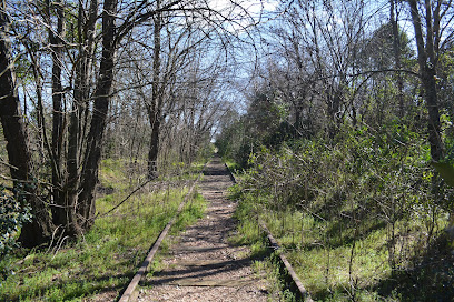 Bosquecito de la vía