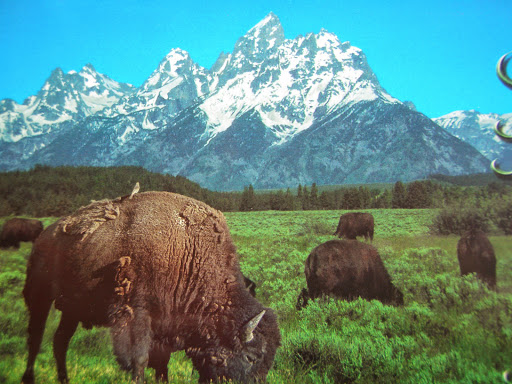 National Park «Grand Teton National Park», reviews and photos