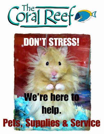 Pet Supply Store «Coral Reef», reviews and photos, 625 W Agency Rd, West Burlington, IA 52655, USA