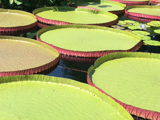 Department Store «Marshalls», reviews and photos, 1431 NY-300, Newburgh, NY 12550, USA