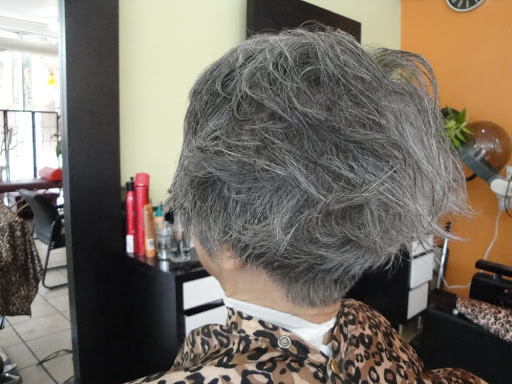 Beauty Salon «Bionic Hair Salon», reviews and photos, 5501 N Broadway St, Chicago, IL 60640, USA