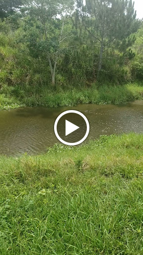 Park «Eagle Nest Park», reviews and photos, 5165 Metrowest Blvd, Orlando, FL 32811, USA