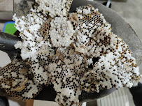 OMNI Home and Pest Services - Photo 2 - Car repair in Bothell, WA, Seattle