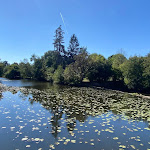 Photo n° 1 de l'avis de Karen.I fait le 25/09/2022 à 21:10 pour Restaurant La Digue à Montaigu-Vendée