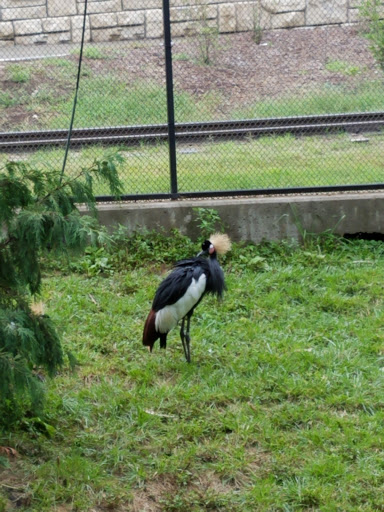Zoo «Simmons Aviary», reviews and photos, 3701 S 10th St, Omaha, NE 68107, USA